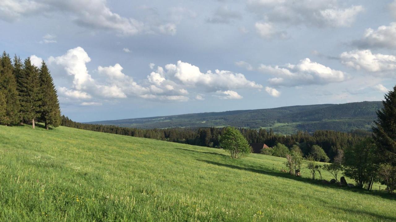 Ferienwohnung Zur Alten Schmiede Lenzkirch Exterior foto