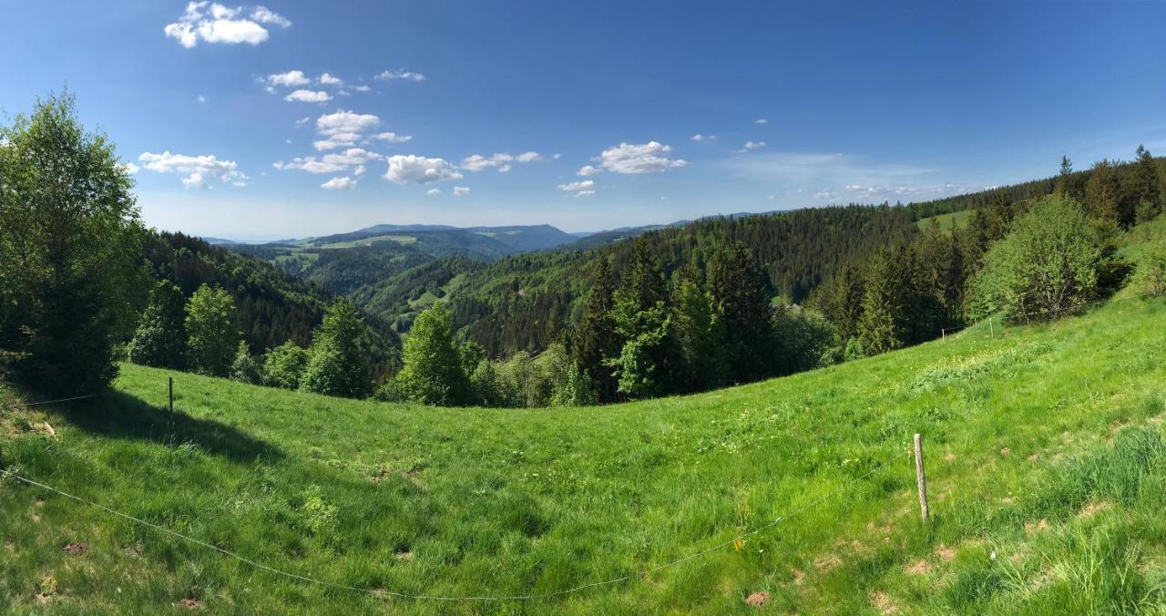 Ferienwohnung Zur Alten Schmiede Lenzkirch Exterior foto